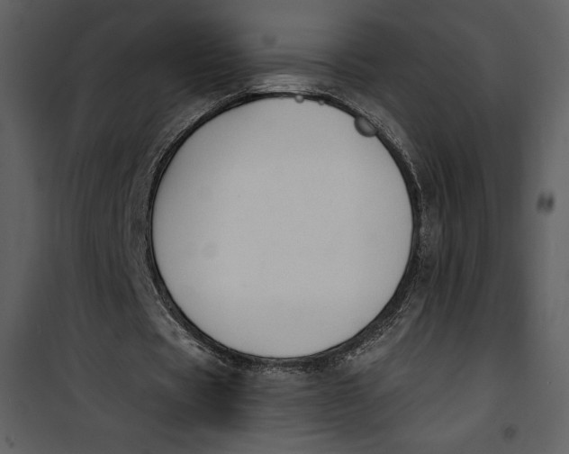 X0000101230529200807181605