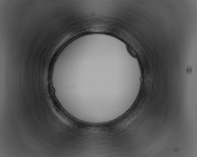 X0000101230530200807181605