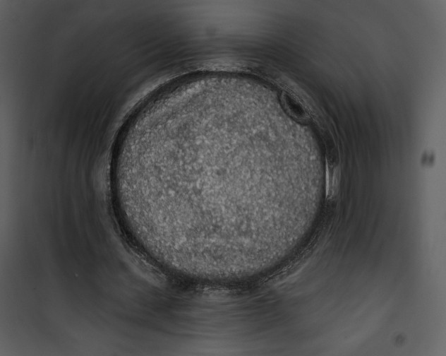 X0000101230531200807181605