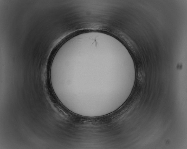 X0000101230532200807181605