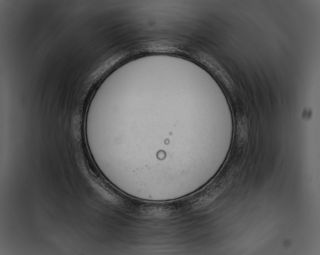 X0000101230533200807181605