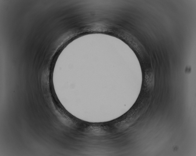 X0000101230534200807181605