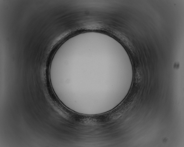 X0000101230535200807181605