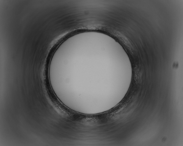 X0000101230536200807181605