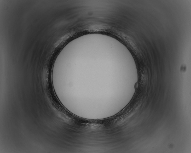 X0000101230539200807181605