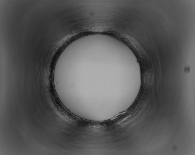 X0000101230540200807181605