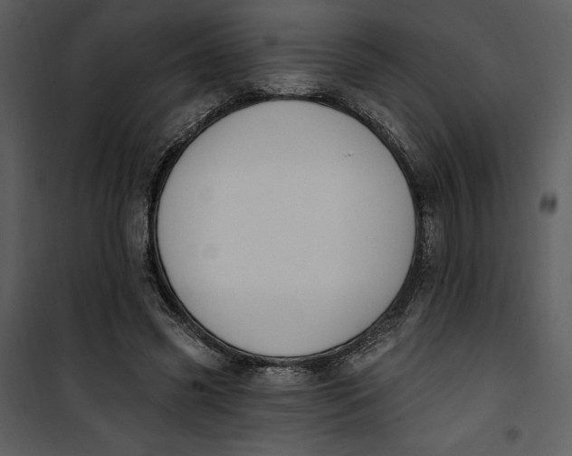 X0000101230541200807181605