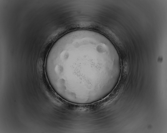 X0000101230542200807181605