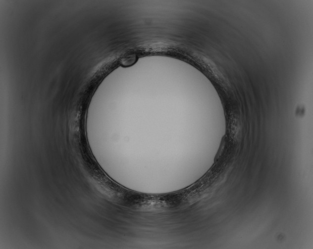 X0000101230543200807181605