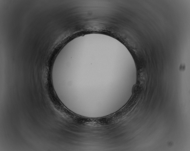 X0000101230544200807181605