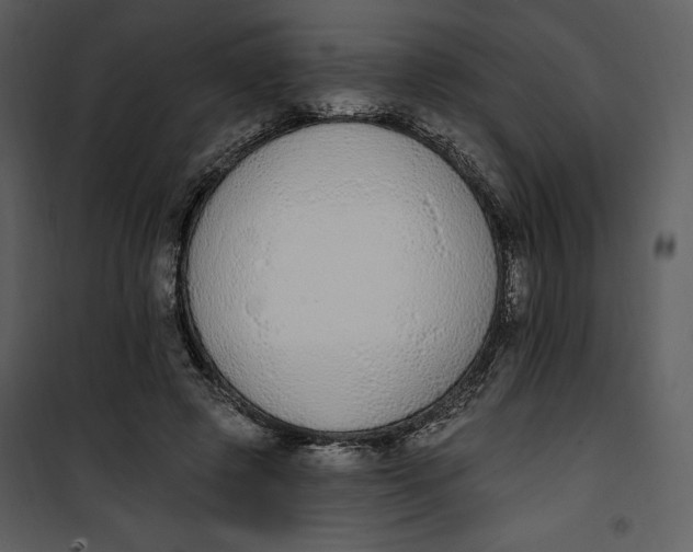 X0000101230545200807181605