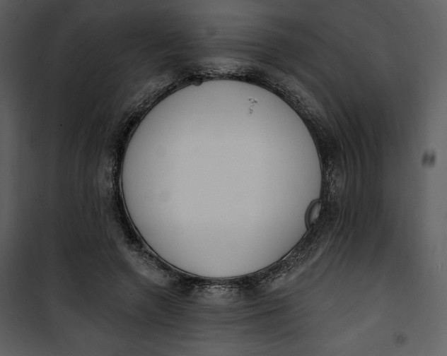 X0000101230546200807181605