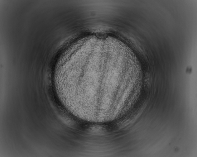 X0000101230547200807181605