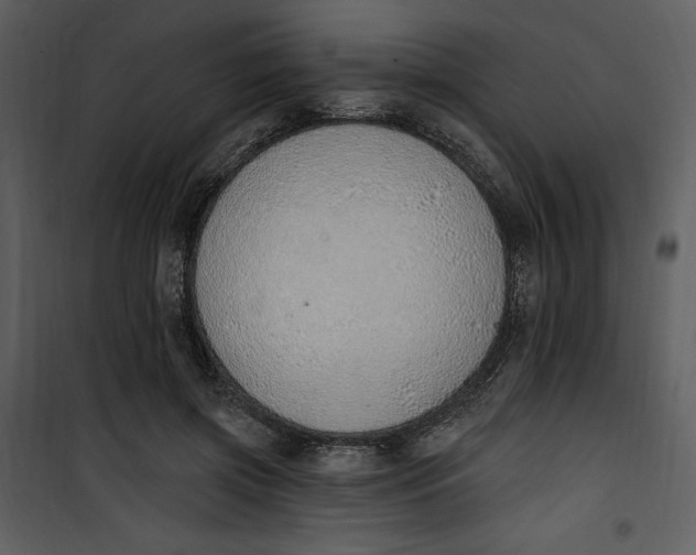 X0000101230549200807181605