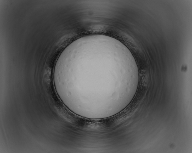 X0000101230550200807181605