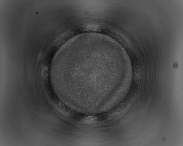 X0000101230551200807181605