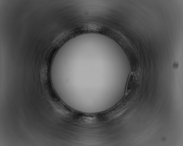 X0000101230552200807181605