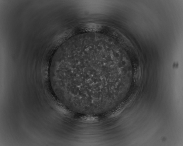 X0000101230553200807181605