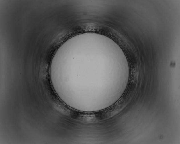 X0000101230554200807181605