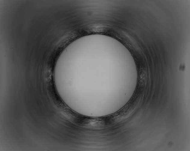 X0000101230555200807181605