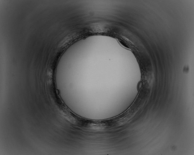 X0000101230556200807181605