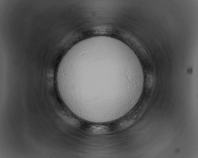 X0000101230557200807181605