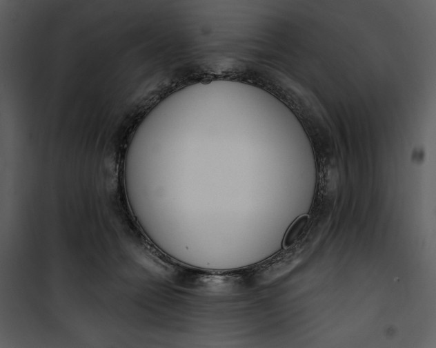 X0000101230558200807181605