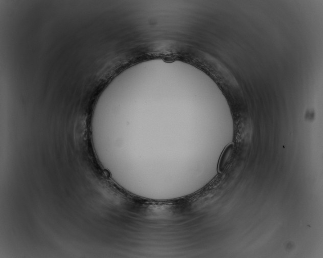 X0000101230560200807181605