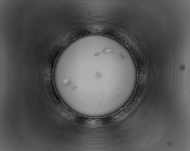 X0000101230561200807181605