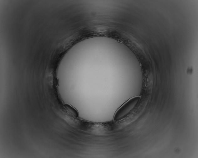 X0000101230562200807181605