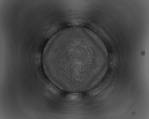 X0000101230563200807181605