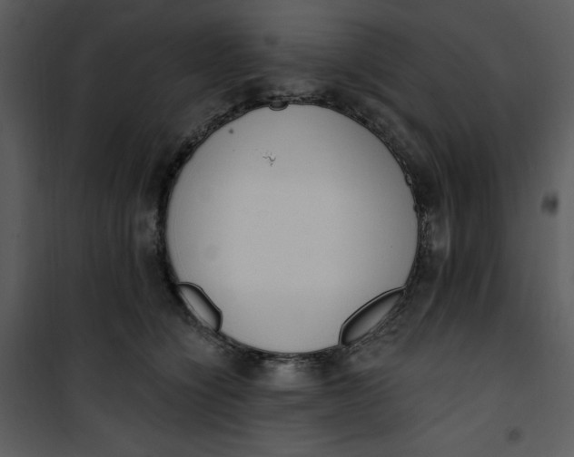 X0000101230564200807181605