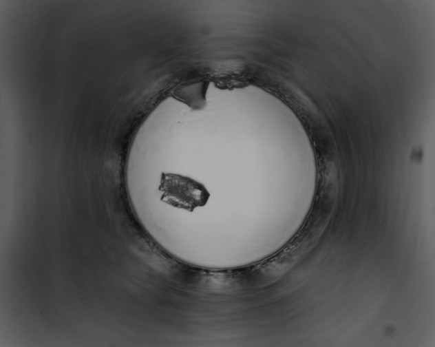 X0000101230565200807181605