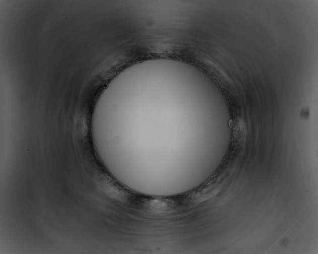 X0000101230566200807181605