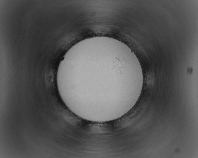 X0000101230567200807181605