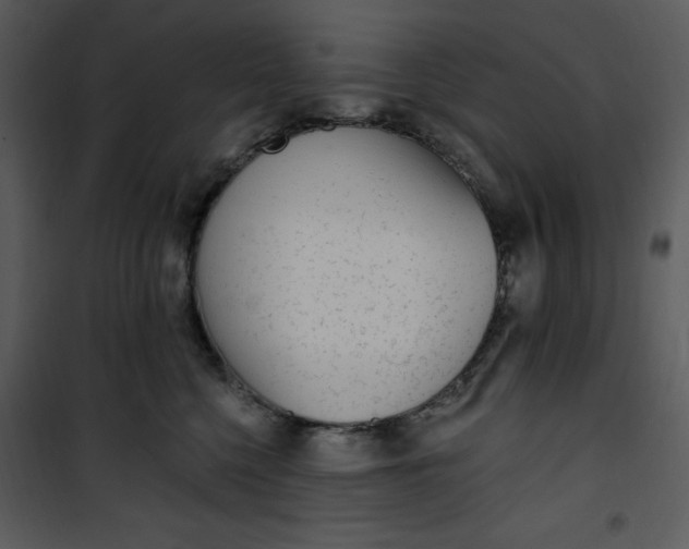 X0000101230568200807181605