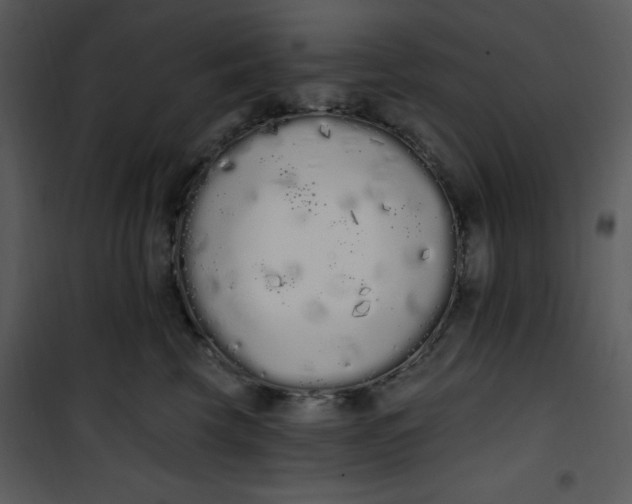 X0000101230569200807181605