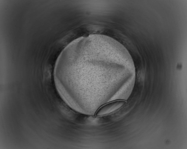 X0000101230570200807181605