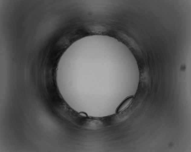 X0000101230572200807181606