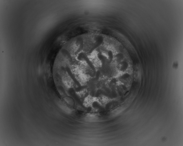 X0000101230573200807181606