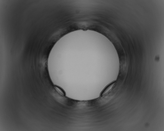 X0000101230574200807181606