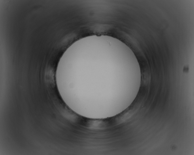 X0000101230575200807181606