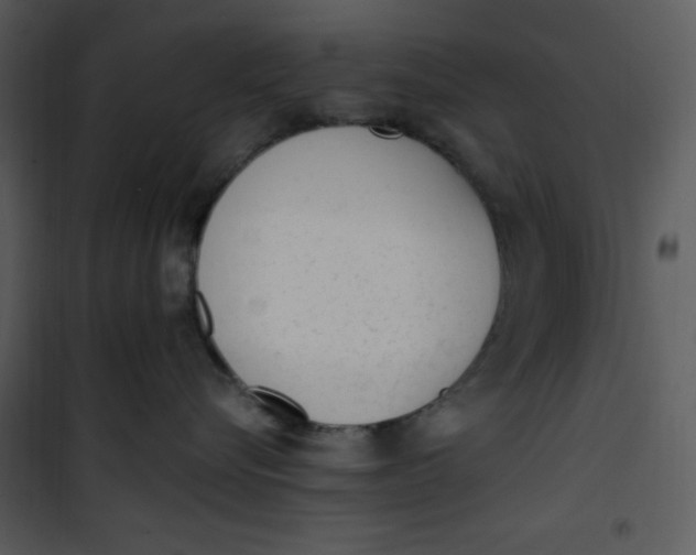 X0000101230576200807181606