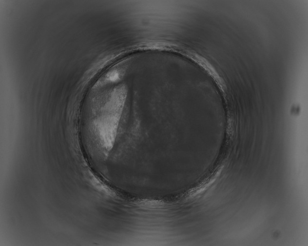 X0000101230577200807181605