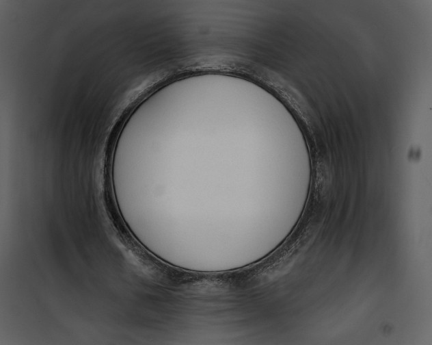 X0000101230578200807181605