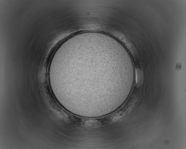 X0000101230579200807181605