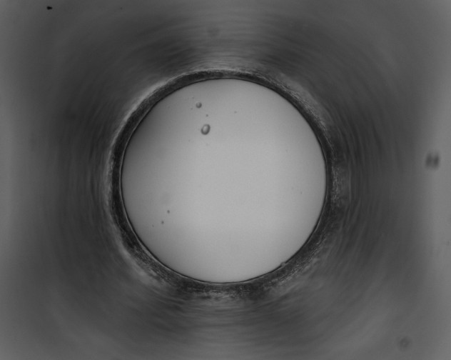 X0000101230580200807181605