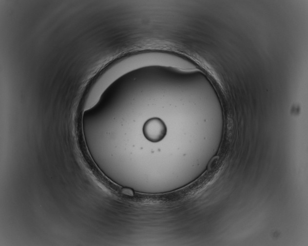 X0000101230581200807181605