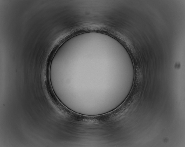 X0000101230582200807181605