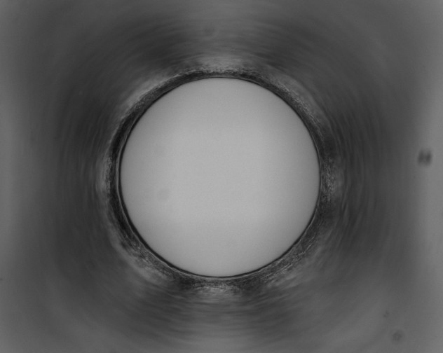 X0000101230583200807181605